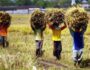 Desa Rapak Lembur Terpilih Jadi Lokus PPE